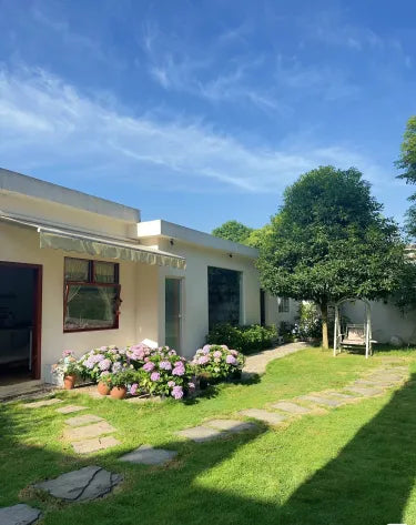 🏆Prodano 65.000 narudžbi!🌱 Sjeme patuljaste trave Four Seasons Evergreen | Stvorite savršen travnjak, počnite ovdje!